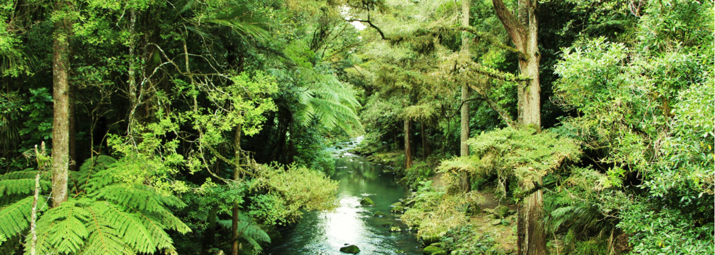 Mother Nature. Shutterstock