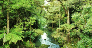 Mother Nature. Shutterstock